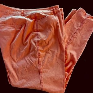 Ladies pants
